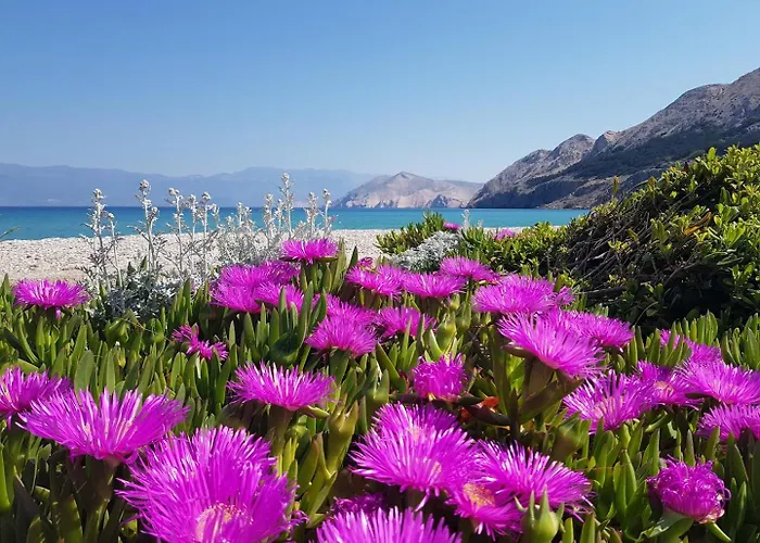 Hrabric Baška